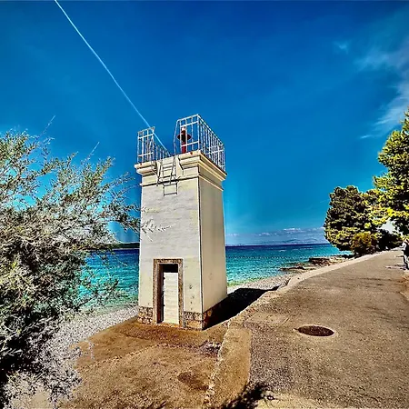 Dante * Milna (Brac)